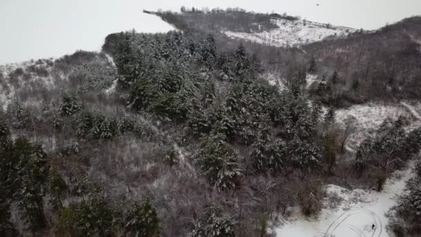 Vista Aérea Sobre Uma Floresta Nevada Coberta Neve Voar Sobre — Vídeo de Stock