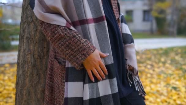 Portrait de belle femme blanche dans le parc d'automne 