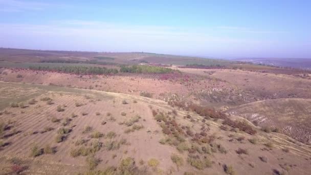 Flug Über Den Herbstlichen Hügel Bunte Malerische Einzigartige Steppenlandschaft Schöne — Stockvideo