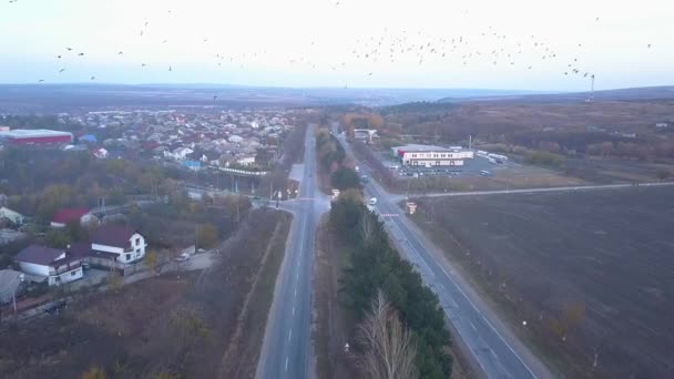 Aerial Sobre Subúrbio Estrada Igual Com Carros — Vídeo de Stock