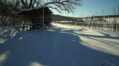 Ormandaki ağaçlar karla kaplı. Forest Park için yapılan bir kar yağışı sırasında güneşli bir kış. Noel Kış yeni yıl. Avcılar için kulübe.