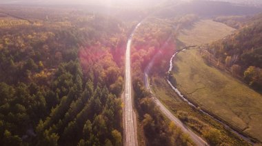 Havadan görünümü ile yolun orman düşmek. 4 k görüntüleri.