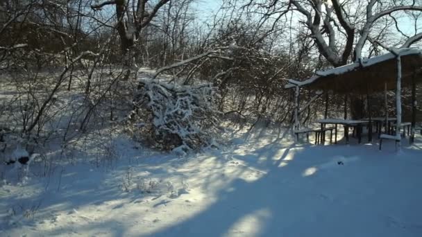森林里被白雪覆盖的树木 冬季的森林公园在一个阳光明媚的日子在降雪期间 圣诞节冬天新年 猎人小屋 — 图库视频影像