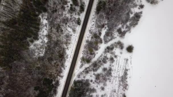 Повітряний Безпілотник Вид Дорогу Ідилічному Зимовому Ландшафті Вулиця Проходить Через — стокове відео