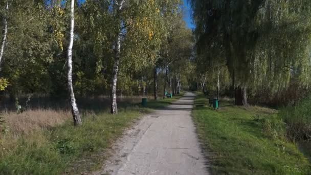 Caméra Déplace Steadicam Dans Parc Paysage Automne Coloré — Video