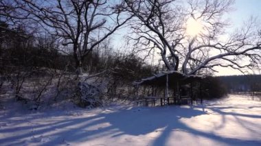 Ormandaki ağaçlar karla kaplı. Forest Park için yapılan bir kar yağışı sırasında güneşli bir kış. Noel Kış yeni yıl. Avcılar için kulübe.