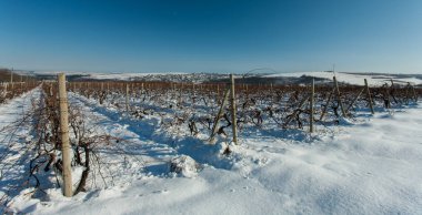 Güzel kış manzarası.