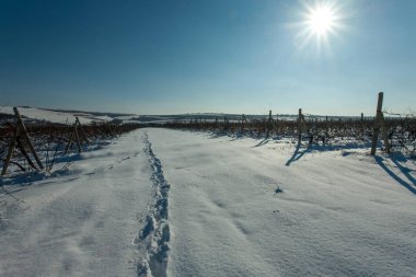Güzel kış manzarası.