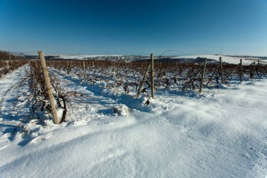 Güzel kış manzara frost ve kar ile kaplı ağaçlar ve ÜRETIM, Moldova.