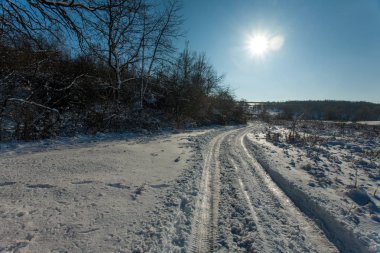 Kar-beyaz kış orman yolları ile derin güneş ve gölge. Orman Caddesi.