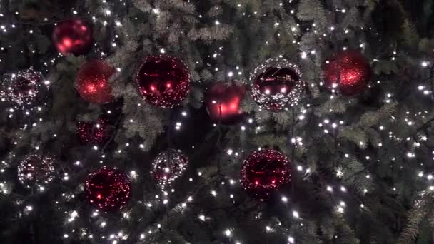 Vánoční stromky, třpytící se v noci pozadí zblízka. Nový rok strom dekorace a osvětlení. Vánoční strom dekorace pozadí