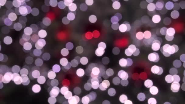 抽象的な点滅ボケで明るいパーティー ライト抽象的なキラキラ デフォーカスの抽象的な背景をぼかし — ストック動画