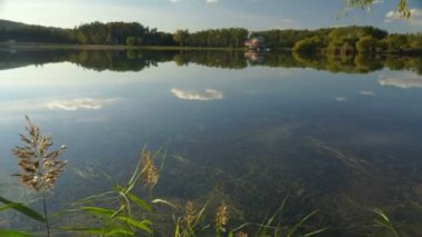 sazlık ve ağaçlar arasında göl manzarası. Sonbahar manzara. Steadicam atış.