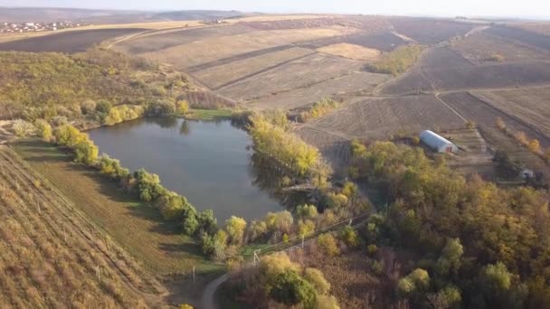 Vlucht Waterplas Herfst Landschap — Stockvideo