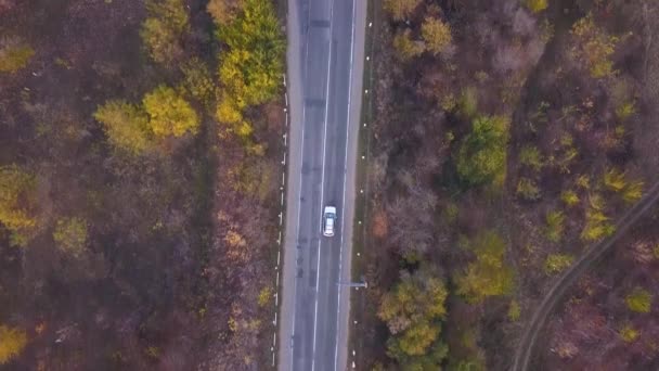 高速道路 高速道路のトラフィック トラックと道路上で車の空中ショット — ストック動画