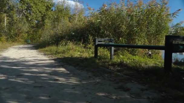 Camera Moves Steadicam Park Colorful Autumn Landscape — Stock Video
