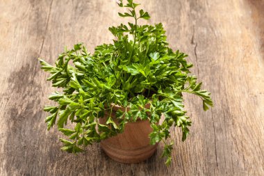 Demet maydanoz kase rustik ahşap masa üzerinde. Taze sebze.