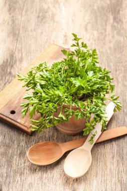 Demet maydanoz kase rustik ahşap masa üzerinde. Taze sebze.