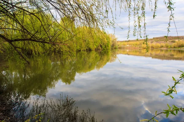 Bahar park göl. Bahar manzara.