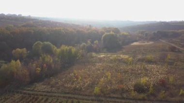Sonbaharda bir ormanın üzerinde insansız hava aracı uçuşu muhteşem sonbahar renklerini gözler önüne seriyor.