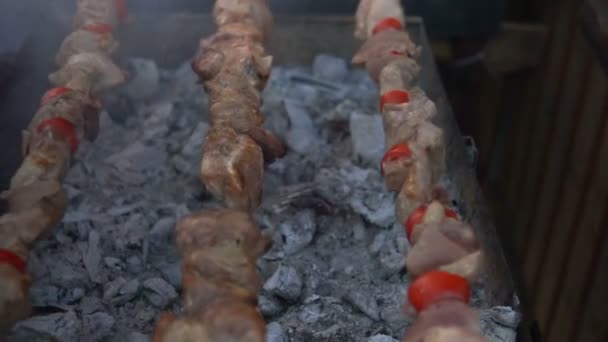 Barbecue Met Heerlijk Gegrilde Vlees Grill Barbecue Party Stukjes Kip — Stockvideo