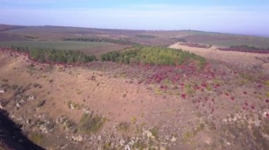 Sonbahar hill, renkli pitoresk benzersiz manzara bozkır üzerinde uçuş. Güzel sonbahar doğa.