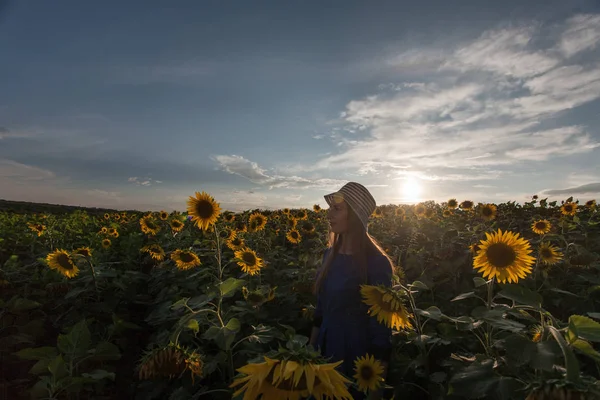 女孩在蓝色礼服叶子与帽子在向日葵领域在日落 — 图库照片