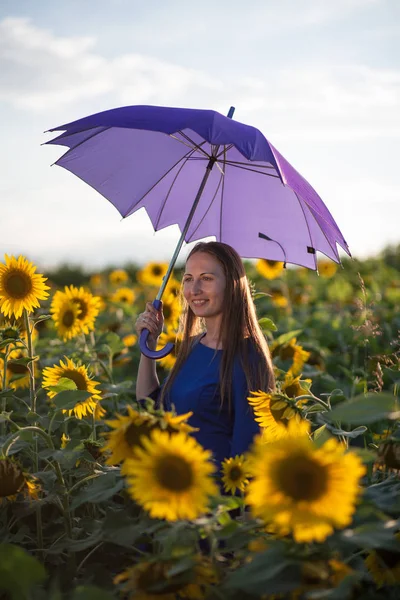 Vakker Kvinne Med Blå Paraply Solsikkeåker Ved Solnedgang – stockfoto