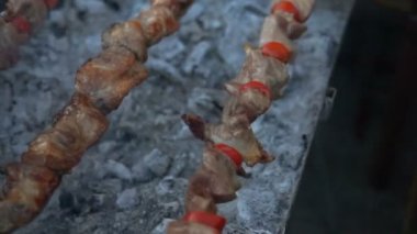 Barbekü ızgara lezzetli ızgara et ile. Barbekü partisi. Bir kömüre kızarmış tavuk et parçaları ızgara .