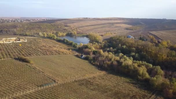 Vlucht Waterplas Herfst Landschap — Stockvideo