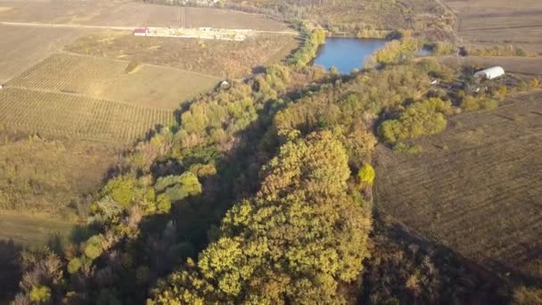 在小湖上空飞行 秋季景观 — 图库视频影像