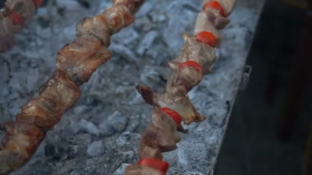 Барбекю Вкусным Мясом Гриле Барбекю Вечеринка Куриное Мясо Жарят Угольном — стоковое видео
