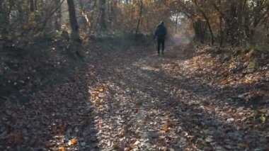 Ormanda, atış izleme gimbal yürüyen bir sırt çantası ile iki fotoğrafçılar