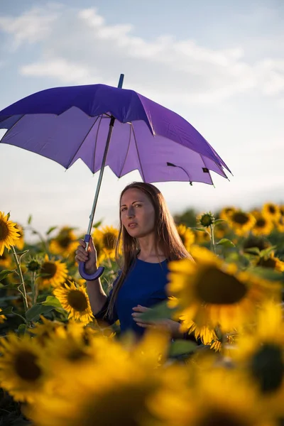 Vakker Kvinne Med Blå Paraply Solsikkeåker Ved Solnedgang – stockfoto