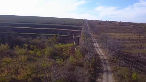 Un vol au-dessus des champs cultivés et de la route à la lumière du soleil d'automne .