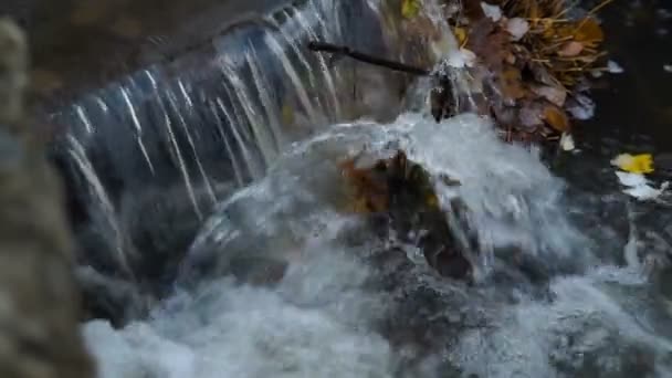 Krásné Horské Peřeje Whitewater Řeky Protéká Svěže Zeleného Lesa Počátku — Stock video