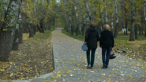 Dos Ancianas Ancianas Caminan Por Parque Otoño — Vídeo de stock