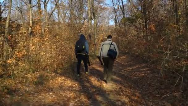 Два Фотографа Рюкзаком Прогуливающимся Лесу Снимок Камеры Слежения — стоковое видео