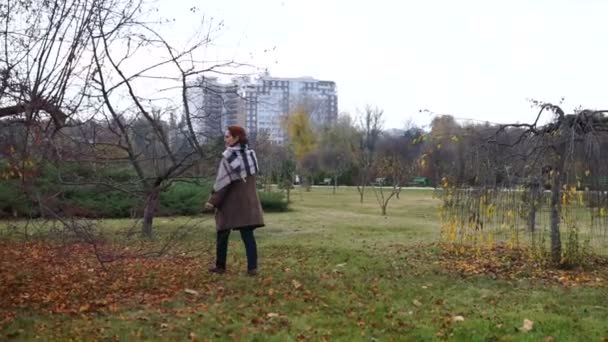 Žena Prochází Parku Mezi Stromy Obrostlé Žlutá — Stock video