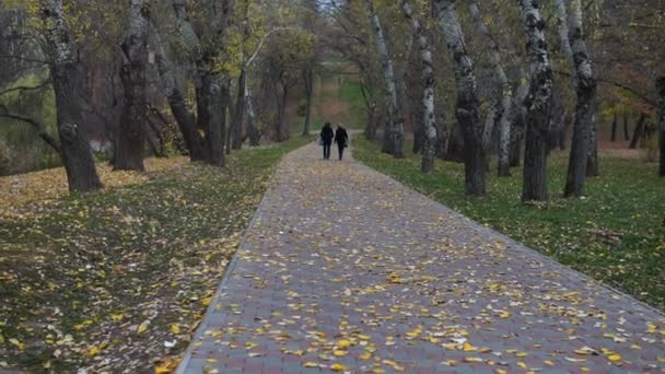 Zwei Alte Seniorinnen Laufen Herbst Durch Den Park — Stockvideo