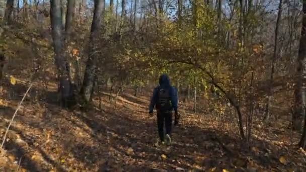 Outdoor Fotograaf Met Een Rugzak Wandelen Bos Gimbal Tracking Shot — Stockvideo