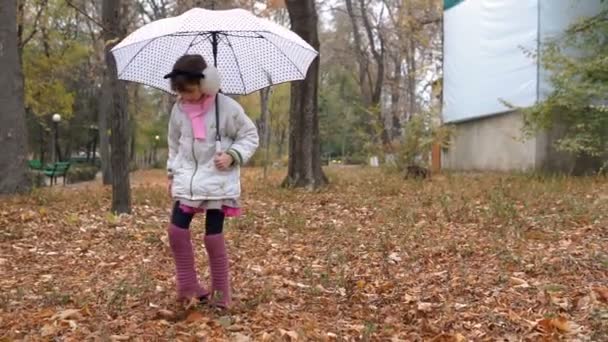Female Child Walking Umbrella Park Yellow Leaves Hands Autumn — Stock Video