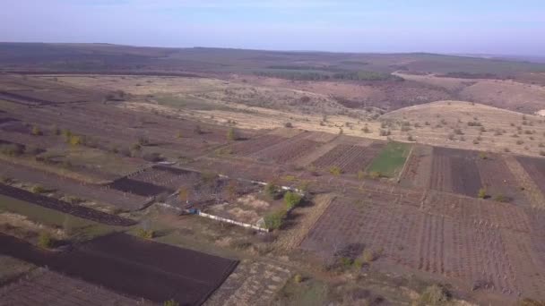 Voo Sobre Campos Cultivados Luz Sol Outono — Vídeo de Stock