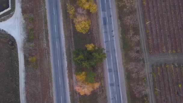 Zdjęcia Lotnicze Autostrady Ruchu Autostrady Ciężarówki Samochody Drodze — Wideo stockowe