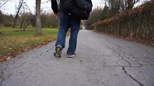 Flug Über Den Kleinen See Herbstlandschaft — Stockvideo