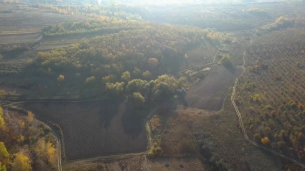 Vol Drone Dessus Une Forêt Automne Révélant Les Magnifiques Couleurs — Video