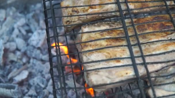 Barbekü Izgara Lezzetli Izgara Ile Barbekü Partisi Bir Kömüre Kızarmış — Stok video