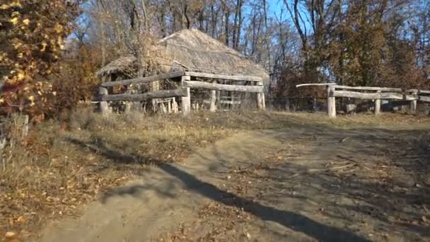 Rifugio Nella Foresta Autunnale Stedicam Chiuso — Video Stock