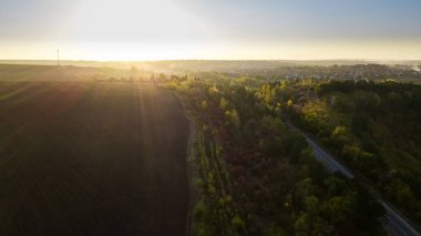Havadan görünümü ile yolun orman düşmek. 4 k görüntüleri.
