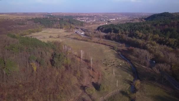 Letecký Pohled Let Nad Dálnici Silniční Vozidla Denní Provoz Auta — Stock video